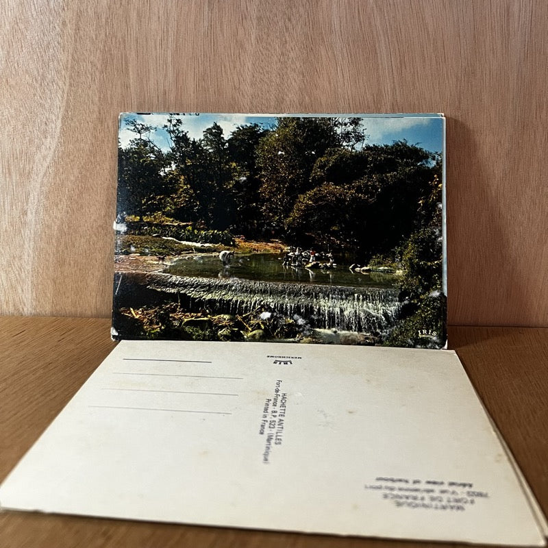 Cartes postales vintage de l'Île de la Martinique